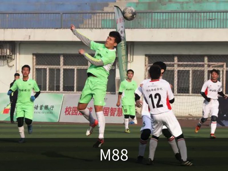 关于M88